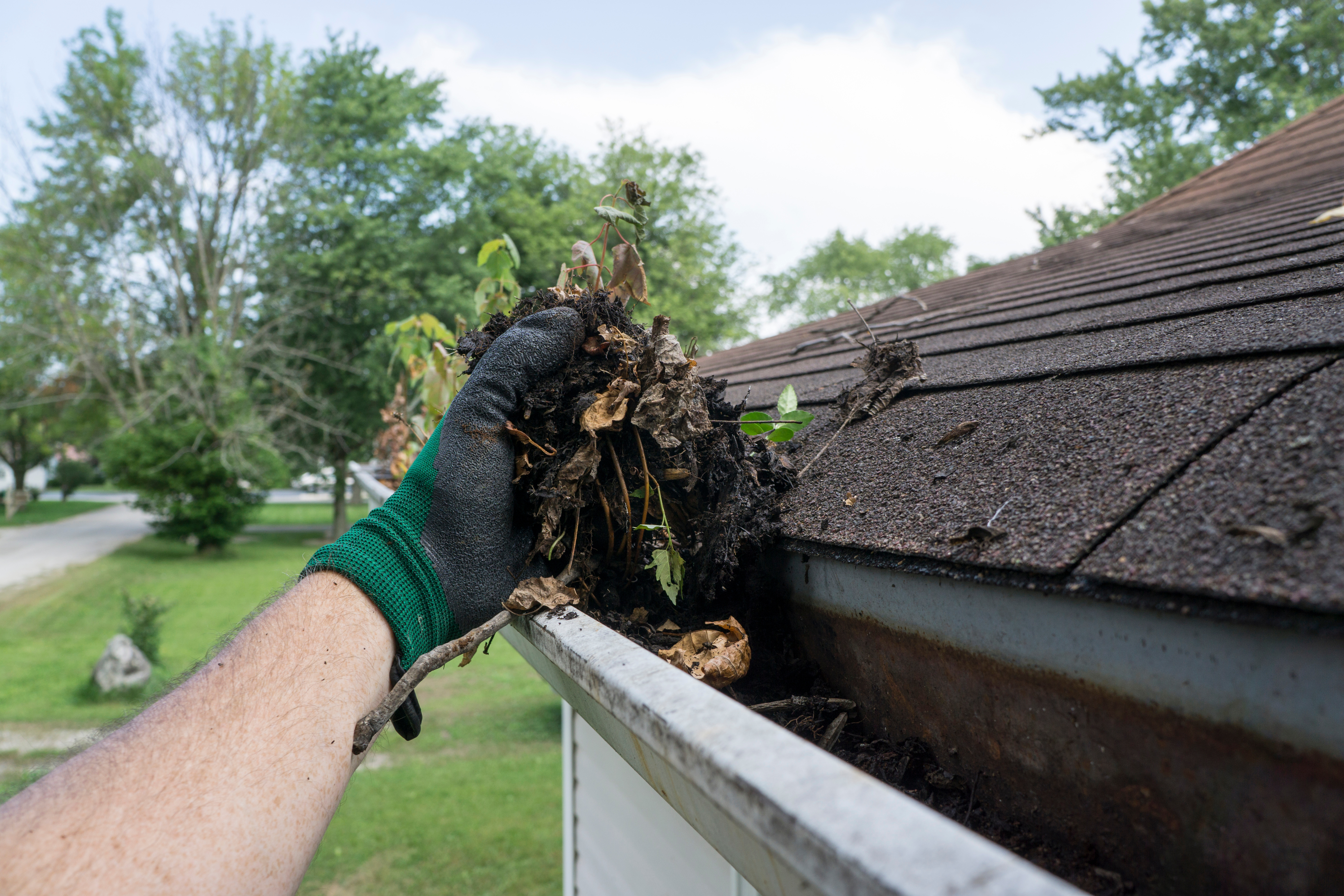 Gutter Cleaning